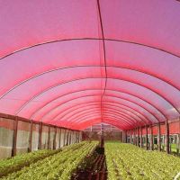 1 Metro de Tela Chromatinet Vermelha 35% 6X1 Metros Ginegar