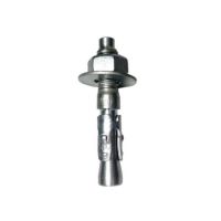 Chumbador PBA 5/16 x 2" Com Porca E Arruela Âncora