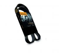 Correia Automotiva 6PK1195 Sama