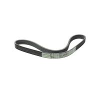 Correia Automotiva 6PK0875 Sama