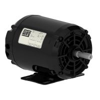 Motor Trifásico 1CV 2 Polos Aberto Weg
