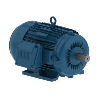 Motor Trifásico 3CV IP55 2 Polos Fechado Weg