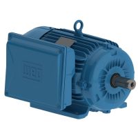 Motor Elétrico Monofásico W22 IP55 15CV 220/440V 60 Hz 2P Weg
