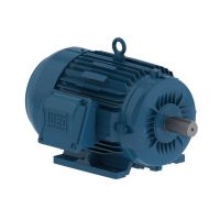 Motor Trifásico 5CV IP55 4 Polos Fechado Weg