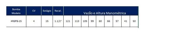 Motobomba 4cv 380V Trifásico 4R8PB-15 350 Sem Painel Leão