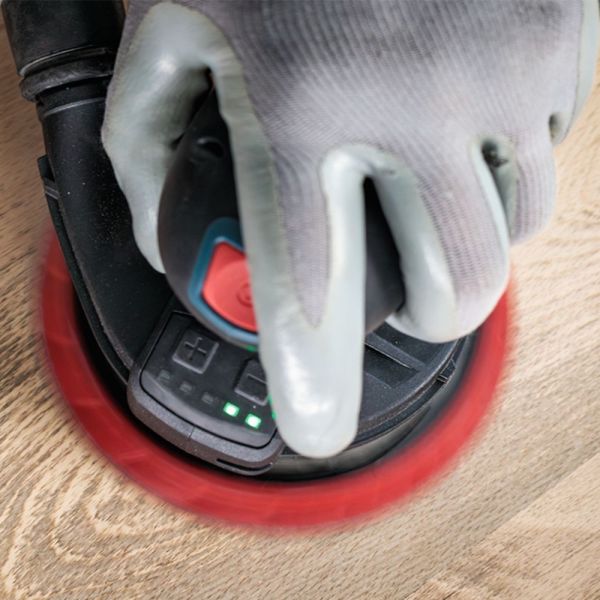 5 Unidades de Disco de Lixa 125mm P80 Expert Bosch