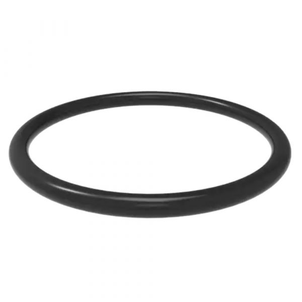 Anel Esgoto Toroidal JE DN100/DI110 Asperbras