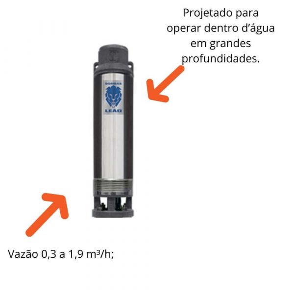 Bombeador 4,5CV 4R3IA-33 Leão