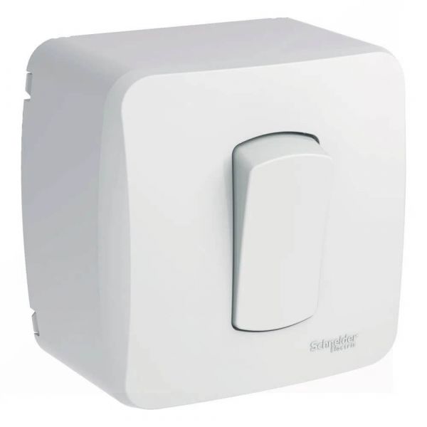 Caixa Sobrepor 1 Interruptor Simples 10A Schneider Eletric