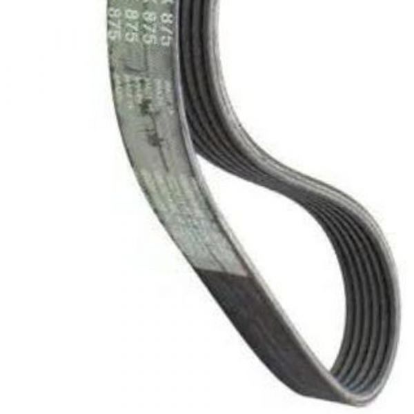 Correia Automotiva 6PK0875 Sama