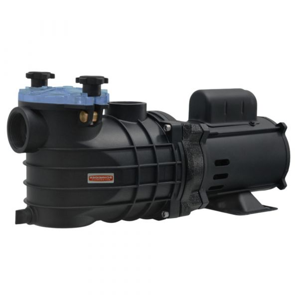 Motobomba 3/4CV 127/220-254V EKO para Piscina Schneider