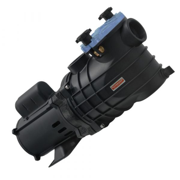 Motobomba 3/4CV 127/220-254V EKO para Piscina Schneider