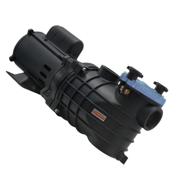 Motobomba 3/4CV 127/220-254V EKO para Piscina Schneider
