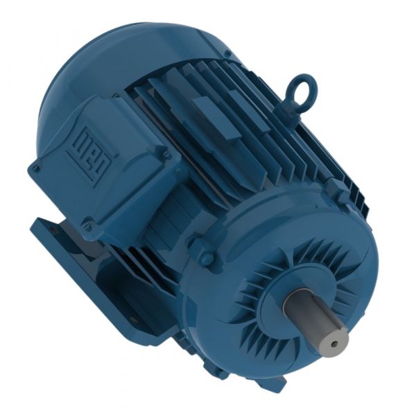 Motor Elétrico 1CV 2P 220/380/440V W22 Trifásico 60Hz Weg