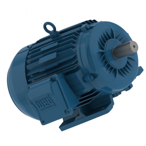 Motor Elétrico 1CV 2P 220/380/440V W22 Trifásico 60Hz Weg