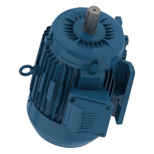 Motor Elétrico 1CV 2P 220/380/440V W22 Trifásico 60Hz Weg