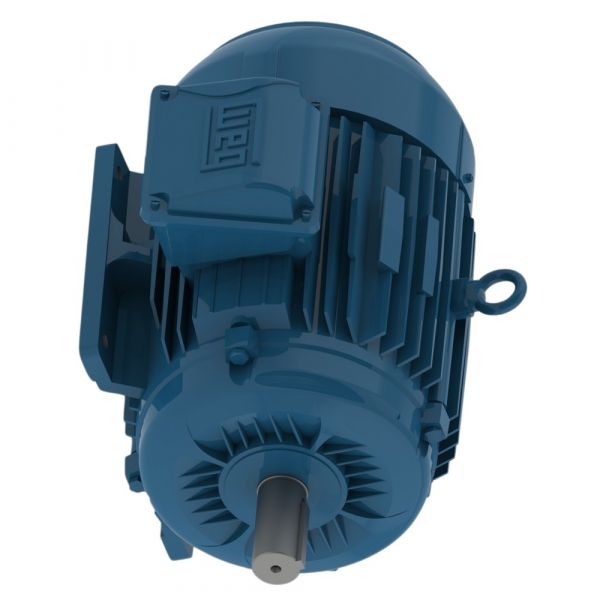 Motor Elétrico 1CV 2P 220/380/440V W22 Trifásico 60Hz Weg