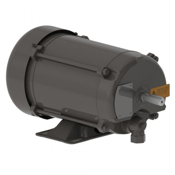 Motor Elétrico 1CV 4P 110/220V EX61G 60Hz Monofásico Blindado Weg