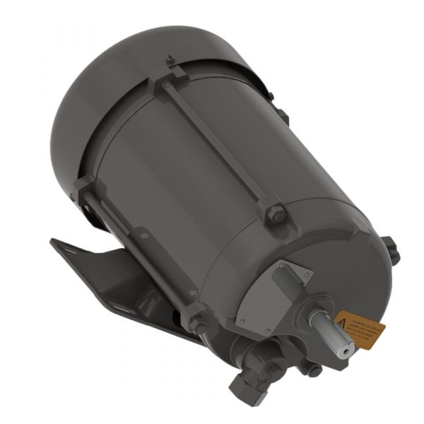 Motor Elétrico 1CV 4P 110/220V EX61G 60Hz Monofásico Blindado Weg