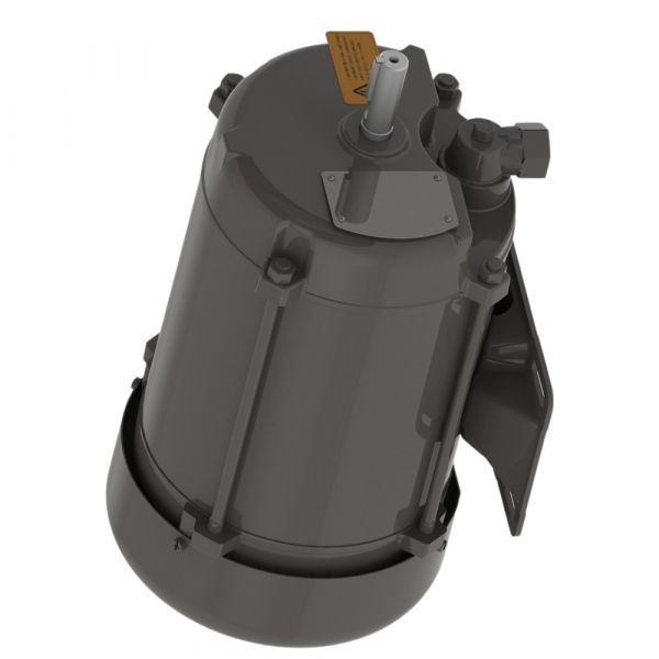 Motor Elétrico 1CV 4P 110/220V EX61G 60Hz Monofásico Blindado Weg