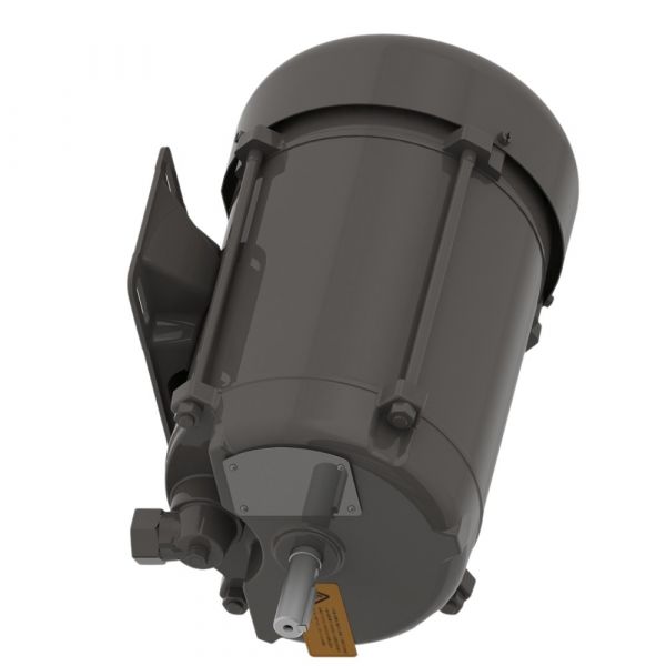 Motor Elétrico 1CV 4P 110/220V EX61G 60Hz Monofásico Blindado Weg