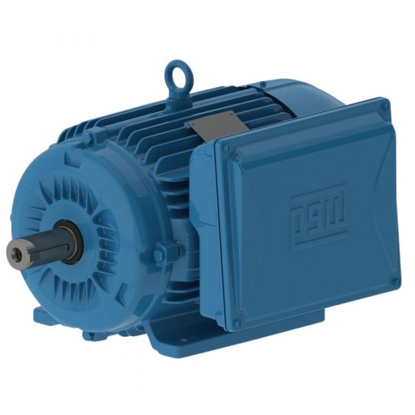 Motor Elétrico Monofásico W22 IP55 15CV 220/440V 60 Hz 2P Weg