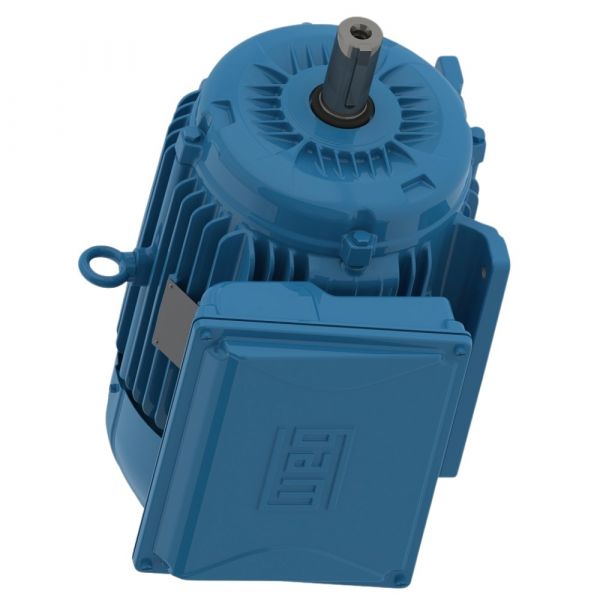 Motor Elétrico Monofásico W22 IP55 15CV 220/440V 60 Hz 2P Weg