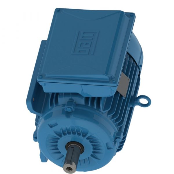 Motor Elétrico Monofásico W22 IP55 15CV 220/440V 60 Hz 2P Weg