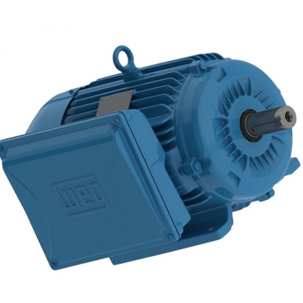 Motor Elétrico Monofásico W22 IP55 15CV 220/440V 60 Hz 2P Weg