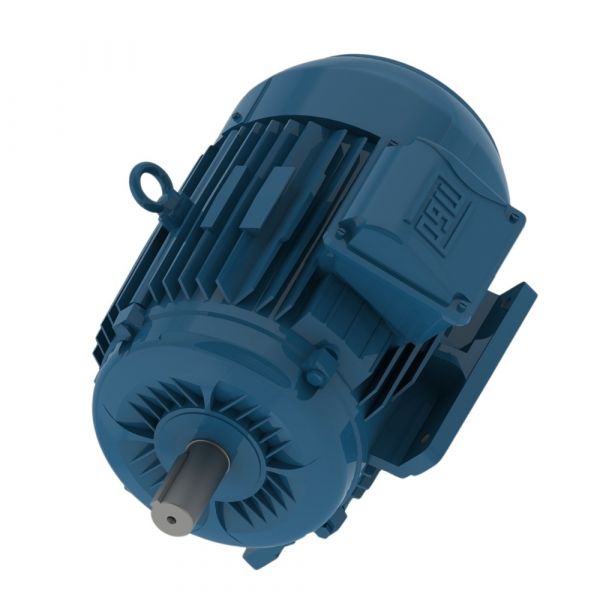 Motor Elétrico Trifásico W22 IR3 Premium 30CV 220/380/440V 4P Weg