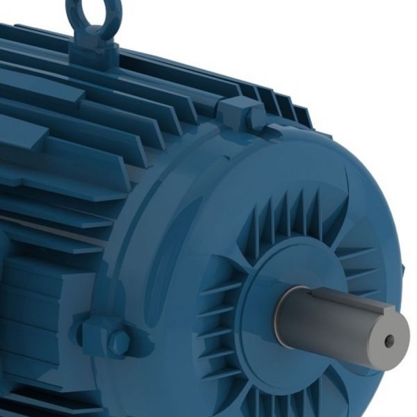 Motor Monofásico 5CV 4 Polos Fechado 220V IP55 Weg