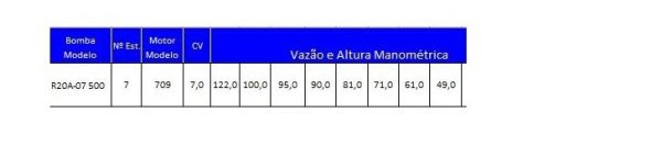 Bombeador 7cv R20A-07 Leão