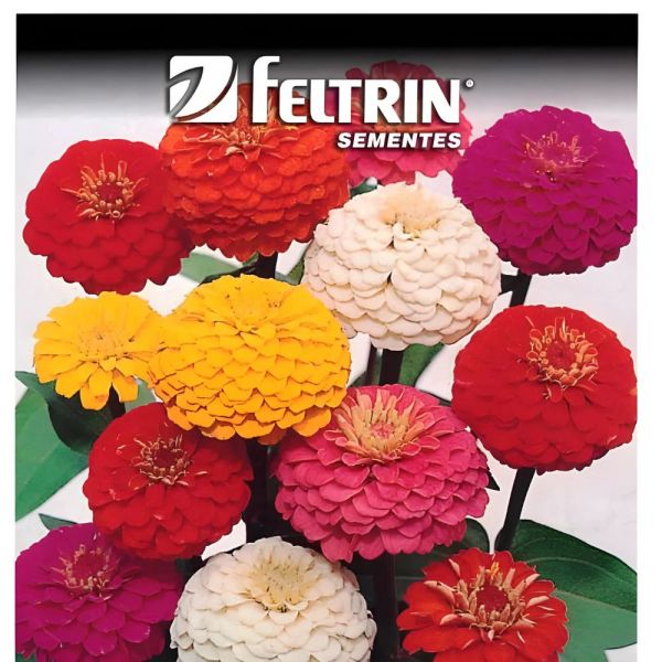 Semente de Flor de Zinnia 290Mg Feltrin