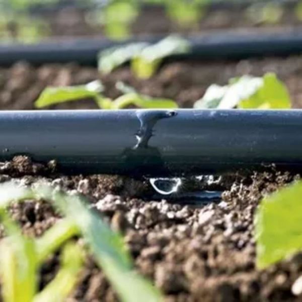 2.600 Metros de Tubo Gotejador 8 Mil 16mm 1.1 Litros/H 20cm P1 Irritec