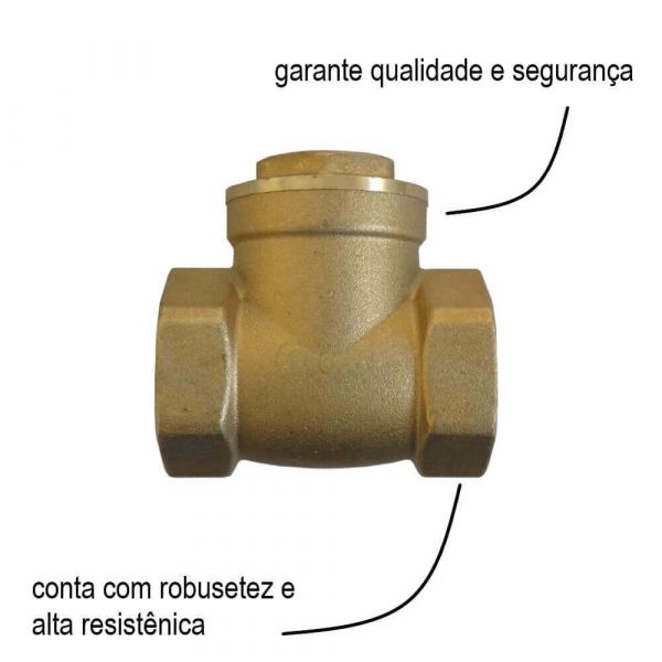 Válvula De Retenção Horizontal Com Portinhola 1.1/2
