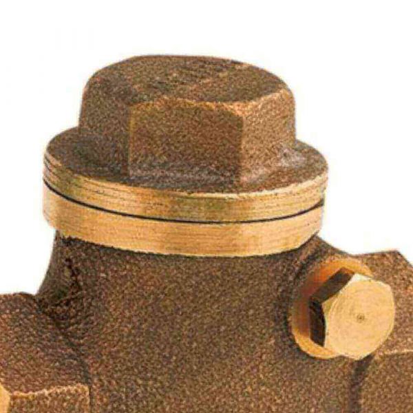 Válvula De Retenção Horizontal 3” DN80 Dulong